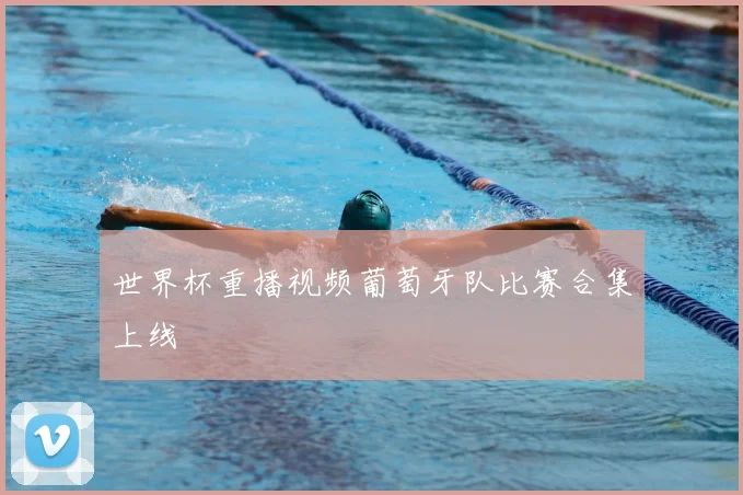 世界杯重播视频葡萄牙队比赛合集上线