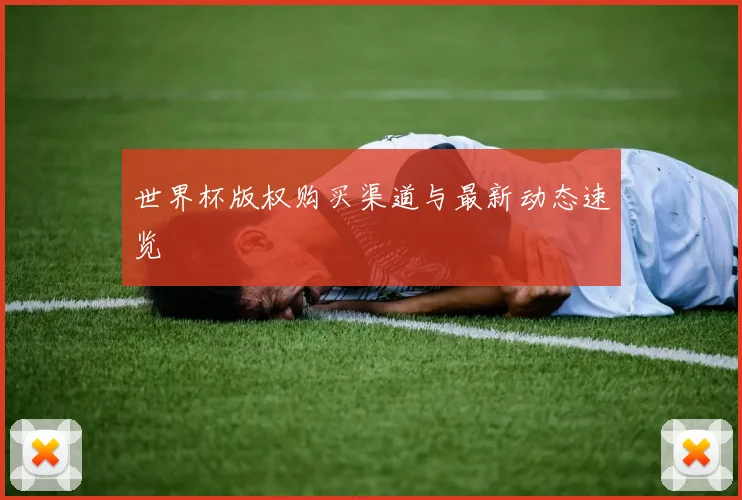 世界杯版权购买渠道与最新动态速览
