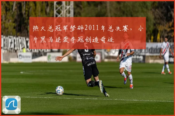 热火总冠军梦碎2011年总决赛，小牛黑马逆袭夺冠创造奇迹